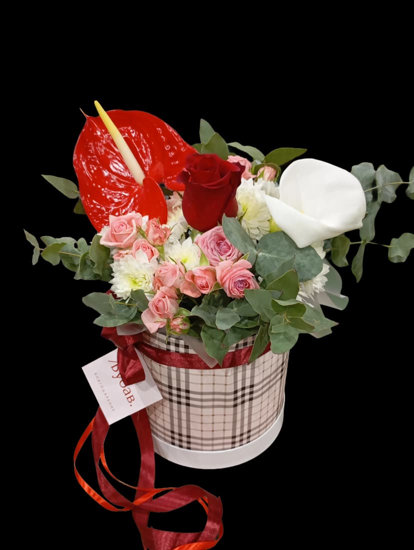IMG_20260211_152943.png